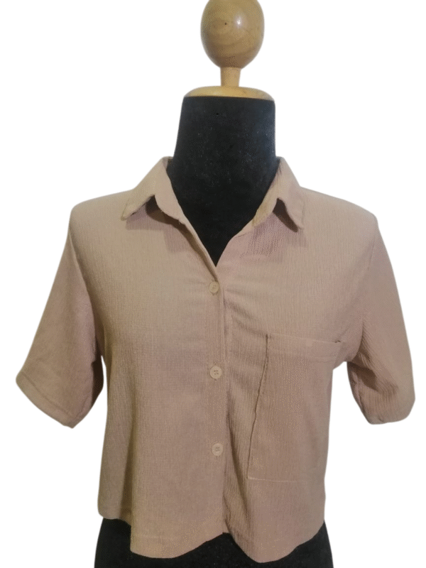 blush breeze buttoned crop top