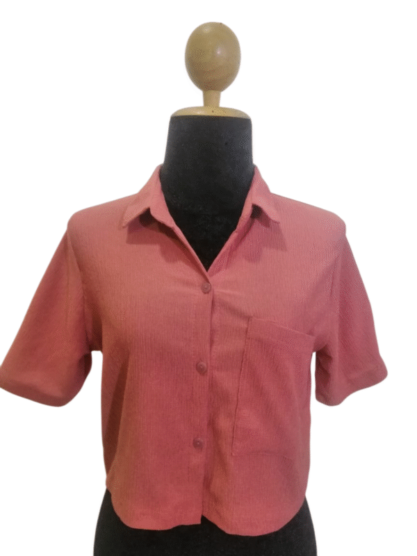 rosy breeze crop top